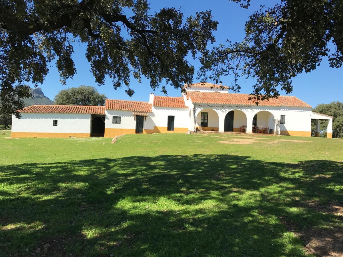 Casa Rural De La Finca Sierra Grande Hornachos المظهر الخارجي الصورة