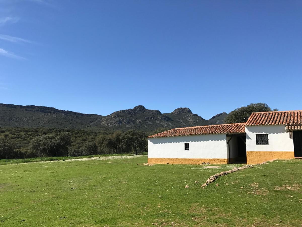 Casa Rural De La Finca Sierra Grande Hornachos المظهر الخارجي الصورة